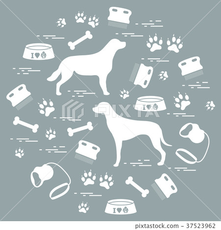 Cute vector illustration goods to care for dogs Cute vector illustration goods to care for dogs 37523962