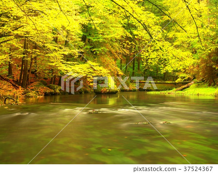 Autumnal nature.Beautiful autumn forest river 37524367