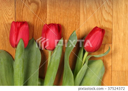 Bouquet of red tulip flowers Bouquet of red tulip flowers 37524372