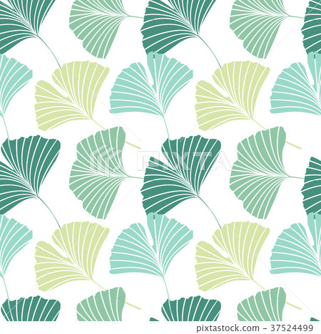 Seamless pattern with Ginkgo biloba leaves Seamless pattern with Ginkgo biloba leaves 37524499