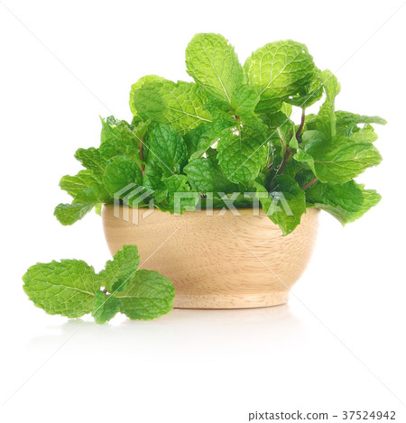 Fresh mint isolated on white background. 37524942