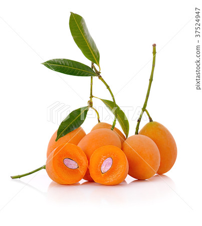 Sweet Marian plum thai fruit isolated on white  37524947