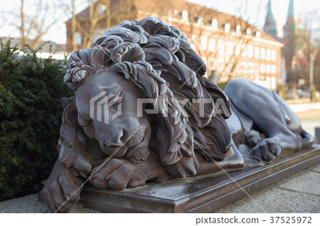 Statue of sleeping lion 37525972