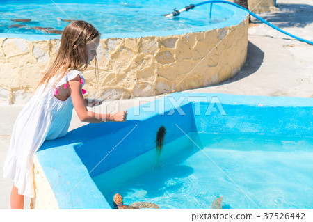 Adorable little girl feeds turtles in the natural Adorable little girl feeds turtles in the natural 37526442