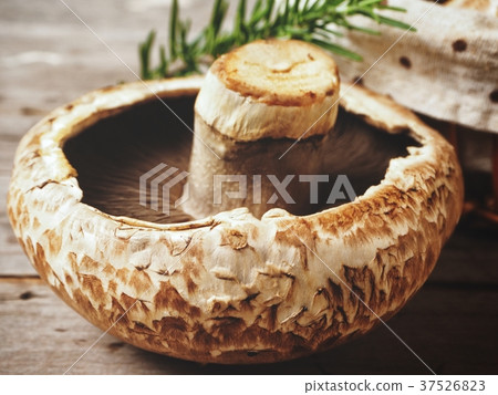 Portobello mushrooms with rosemary Portobello mushrooms with rosemary 37526823