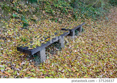 落葉的長凳 37526837