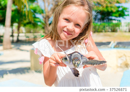 Adorable little girl with a small turtle in her Adorable little girl with a small turtle in her 37526871