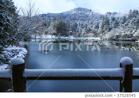 Snow scene of Unzen Shiraku Pond [Unzen City, Nagasaki Prefecture] 37528545