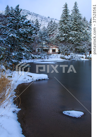 雲仙Shiraku池塘的雪景[長崎縣雲仙市] 37528561