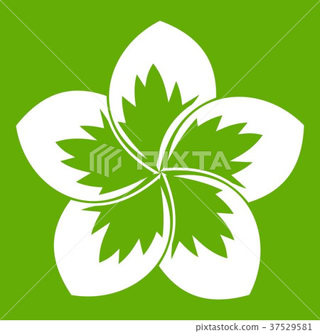 Frangipani flower icon green Frangipani flower icon green 37529581