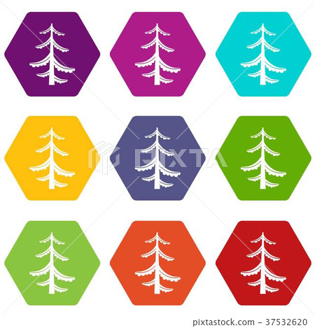 Pine icon set color hexahedron 37532620
