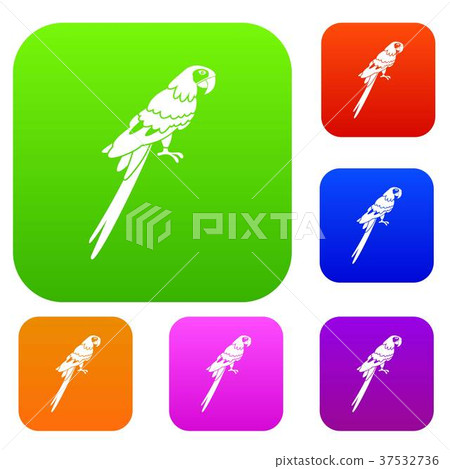 Brazilian parrot set color collection 37532736