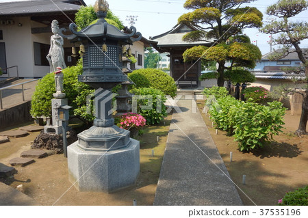 Honkakuji Honkakuji 37535196