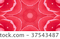 Kaleidoscope (flower) 37543487
