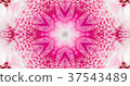 Kaleidoscope (flower) 37543489