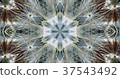 Kaleidoscope (flower) 37543492