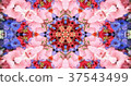 Kaleidoscope (flower) 37543499
