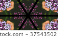 Kaleidoscope (flower) 37543502