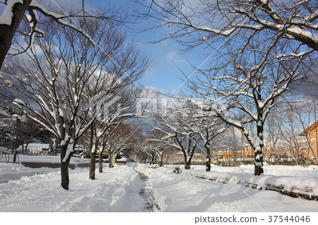 雪景 雪景 37544046