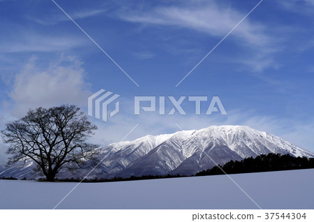 冬天岩手縣的岩手山 37544304