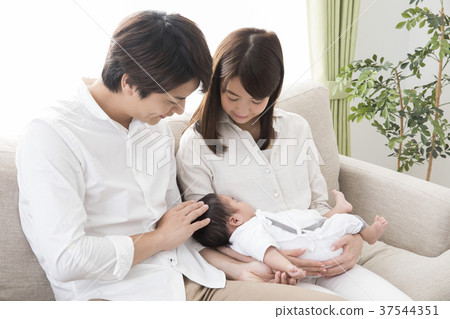 family family 37544351