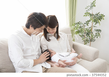 family  37544352