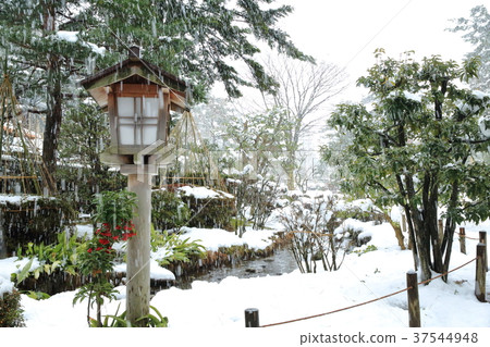Kenrokuen in winter Kenrokuen in winter 37544948
