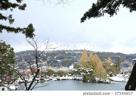 Kenrokuen in winter Kenrokuen in winter 37544957