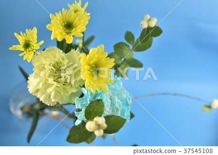 花束 花束 37545108