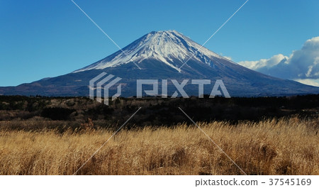 從新年朝霧高原的富士山 37545169