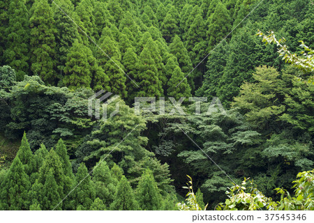豐富的自然（兵庫縣Harima地區） 37545346