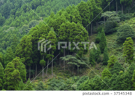 豐富的自然（兵庫縣Harima地區） 37545348