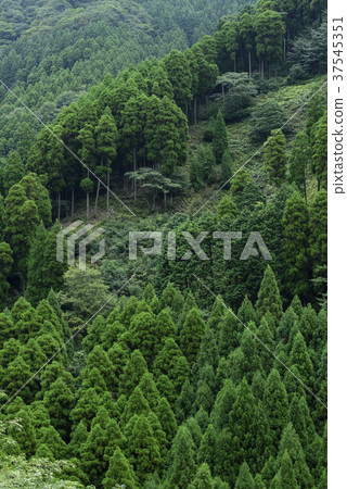 豐富的自然（兵庫縣Harima地區） 37545351