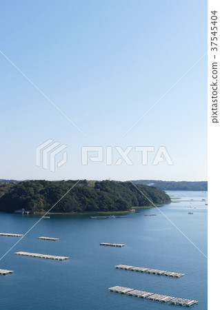 Oyster farmer Mie Prefecture Oyster farmer Mie Prefecture 37545404