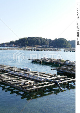 Oyster farmer Mie Prefecture Oyster farmer Mie Prefecture 37545408