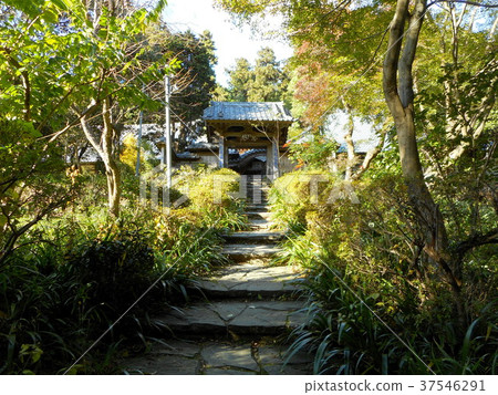 Jikouji Temple 37546291