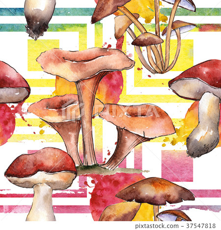 Mushrooms healthy food pattern in a watercolor Mushrooms healthy food pattern in a watercolor 37547818
