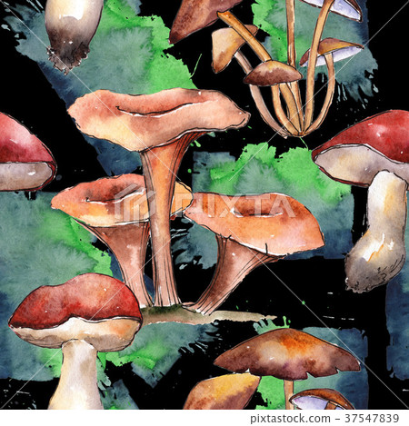 Mushrooms healthy food pattern in a watercolor Mushrooms healthy food pattern in a watercolor 37547839