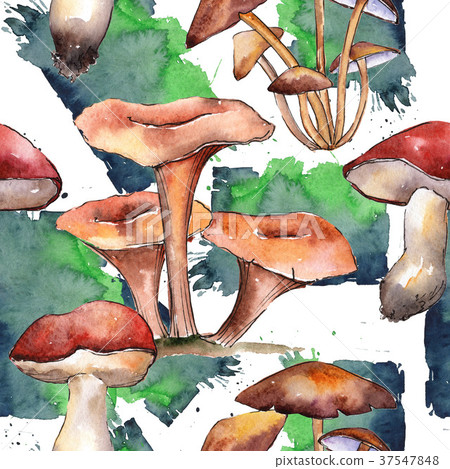 Mushrooms healthy food pattern in a watercolor Mushrooms healthy food pattern in a watercolor 37547848