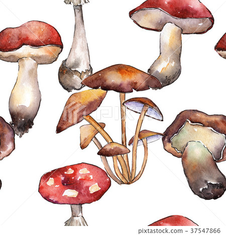 Mushrooms healthy food pattern in a watercolor 37547866