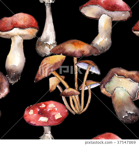 Mushrooms healthy food pattern in a watercolor 37547869