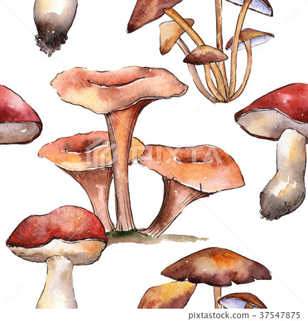 Mushrooms healthy food pattern in a watercolor Mushrooms healthy food pattern in a watercolor 37547875