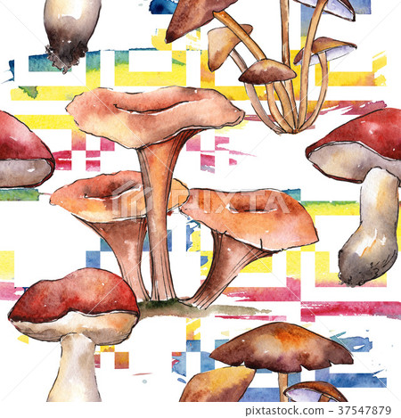 Mushrooms healthy food pattern in a watercolor Mushrooms healthy food pattern in a watercolor 37547879