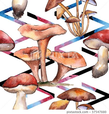Mushrooms healthy food pattern in a watercolor Mushrooms healthy food pattern in a watercolor 37547880