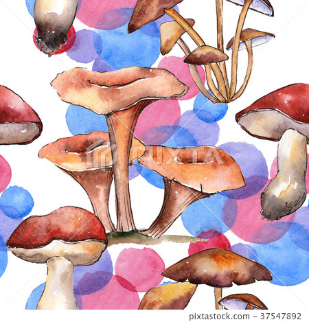 Mushrooms healthy food pattern in a watercolor Mushrooms healthy food pattern in a watercolor 37547892