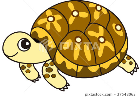 一隻烏龜 37548062