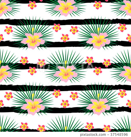 pattern with lines and flowers pattern with lines and flowers 37548596