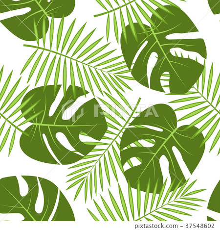 pattern with tropical leaves pattern with tropical leaves 37548602