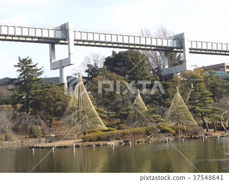  Winter feature snow hanging of Chiba Park cotton hit pond 37548641