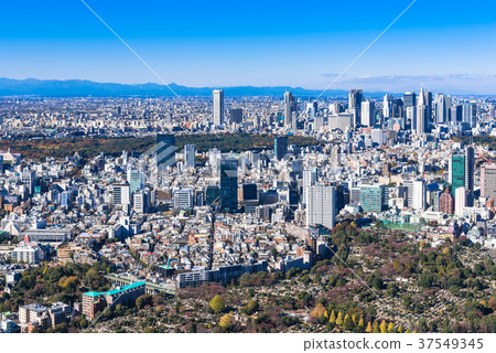 新宿Fukutoshin和Harajuku Aoyama周圍的城市風景 37549345
